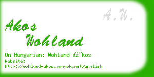 akos wohland business card